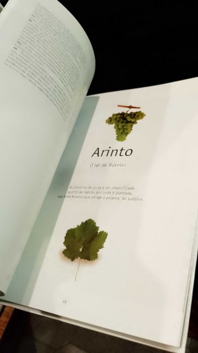 José A. Salvador 16 Castas Portuguesas