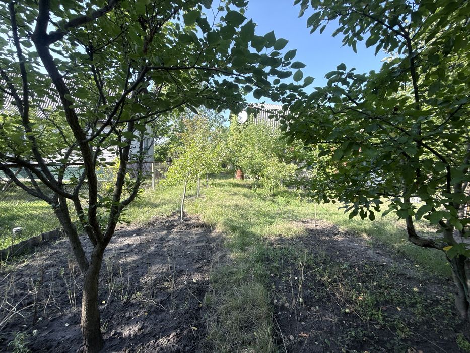 Продаж дачного будиночку в СК «Дружба»