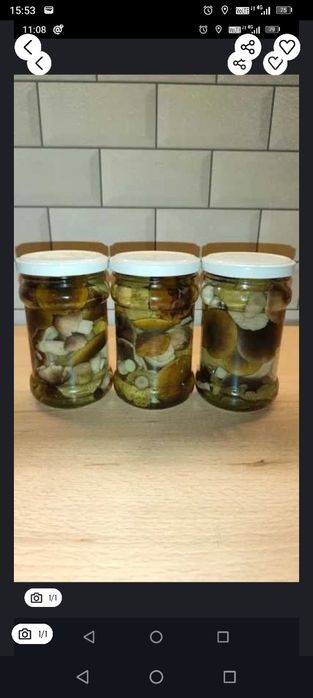 Gąski zielonki i siwki 320 ml - 10 szt