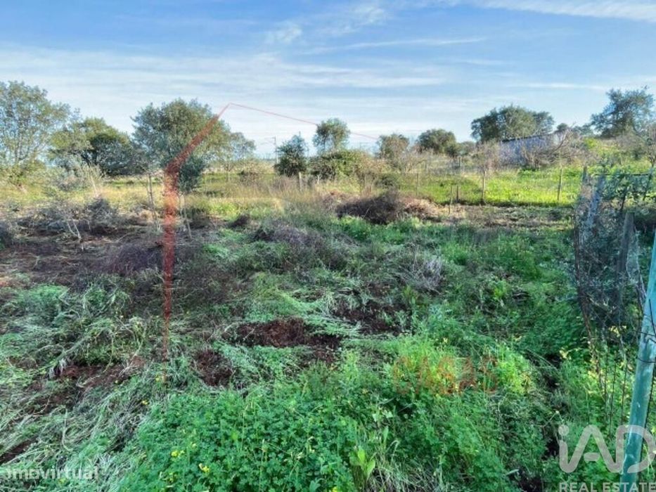Terreno em Palmela