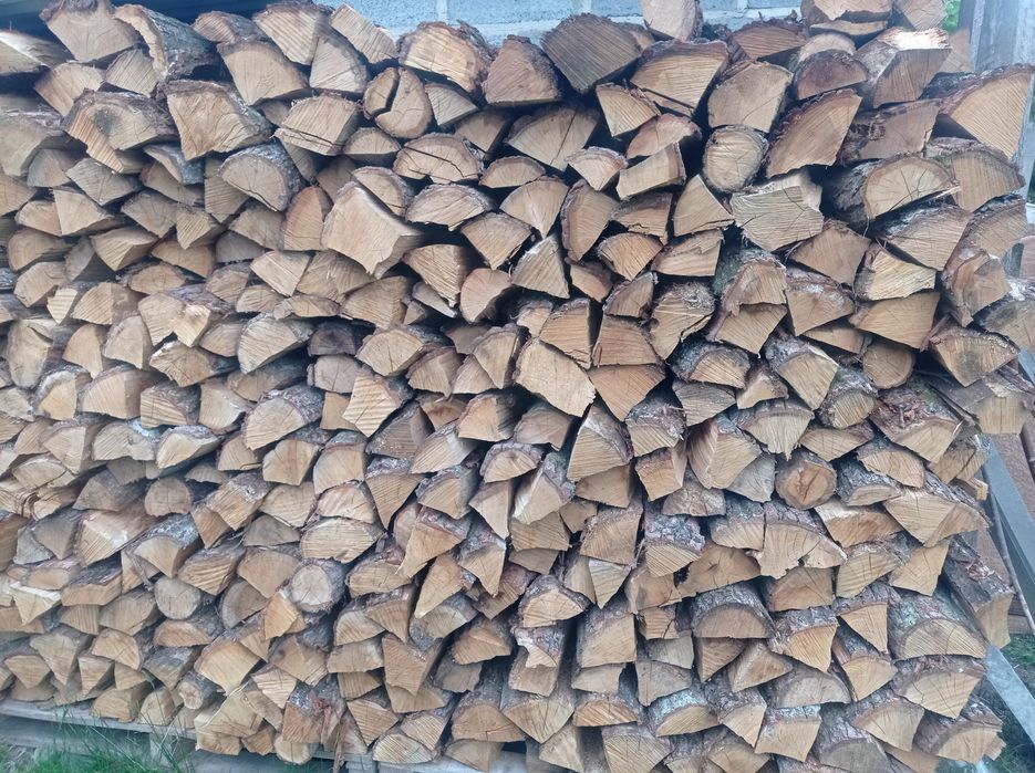 Dąb Buk Brzoza Opał