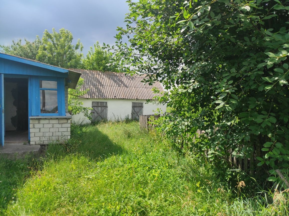 Продам будинок в селі Борисівка