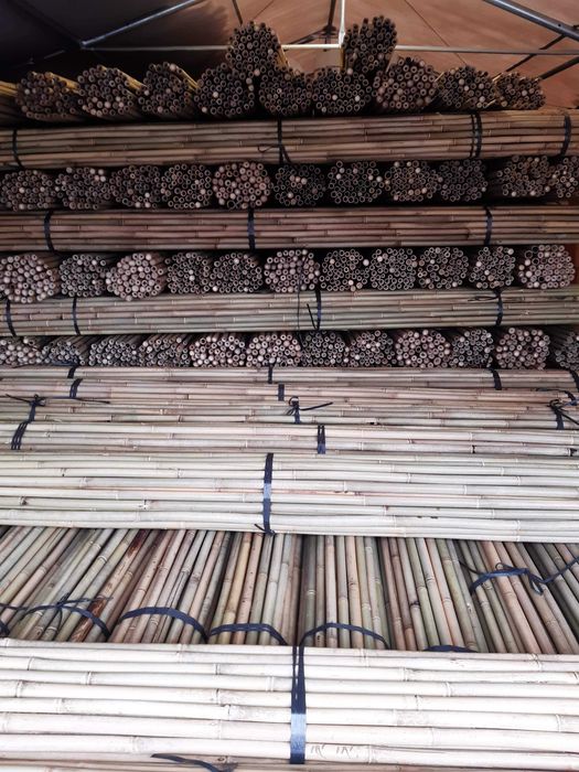Tyczki bambusowe 305cm, bambus, duży wybór bezpośrednio od importera