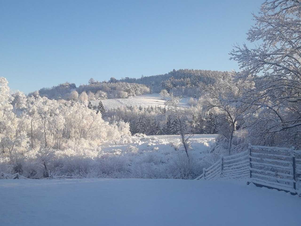 apartament, pokoje, noclegi Bieszczady