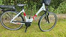 Damka  LIQBIKE Bosch 700 km igła.