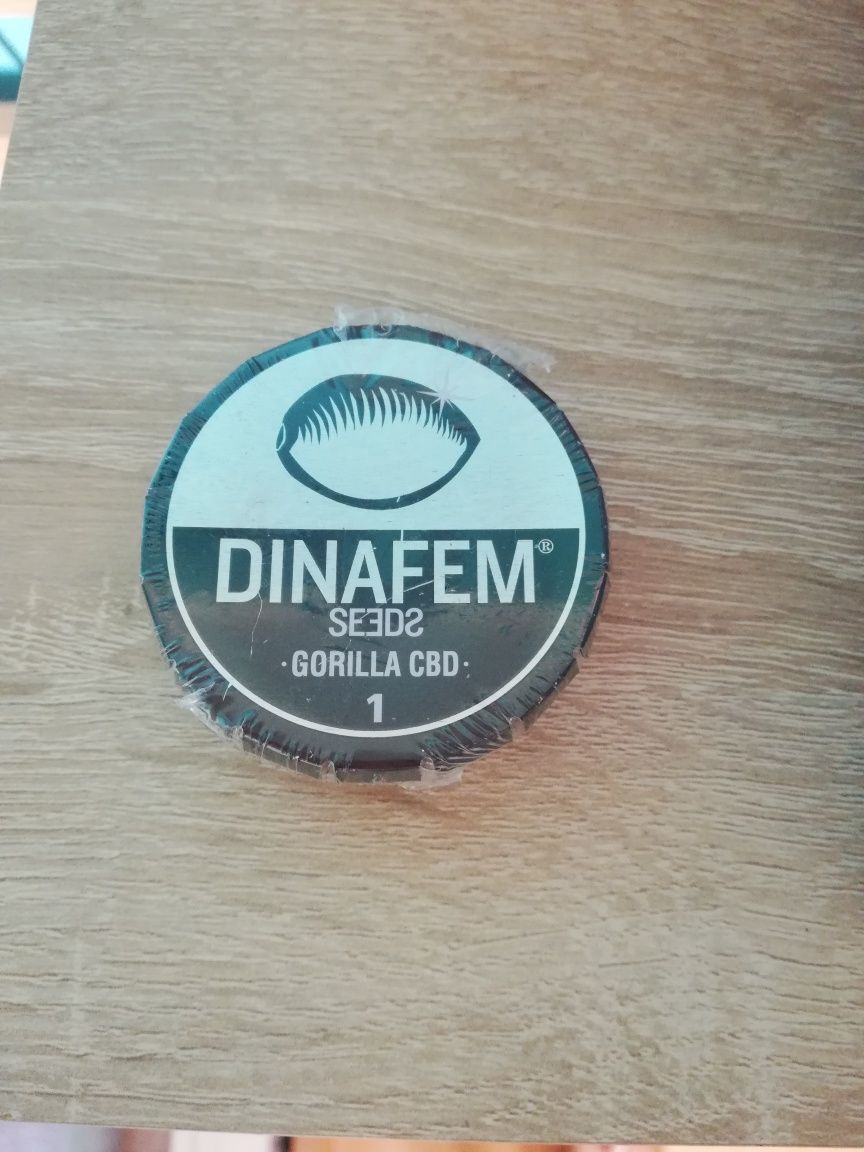 Nasiono kolekcjonerskie Dinafem gorilla