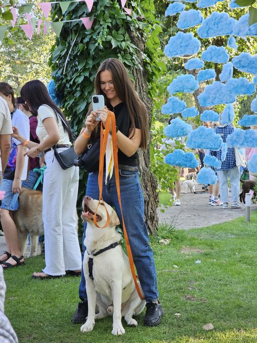 Перетримка собак (догляд на час вашої відсутності)