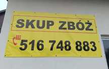 Żyto kukurydza jęczmień owies pszenżyto pszenica