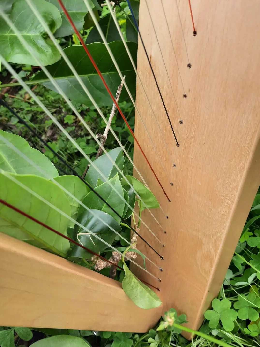 Harpa céltica /  Celtic Harp