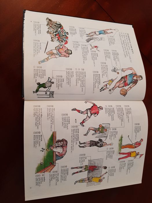 Dicionário multilingue