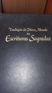 biblia escrituras sagradas