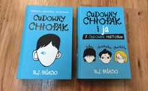Cudowny chłopak - 2 tomy
