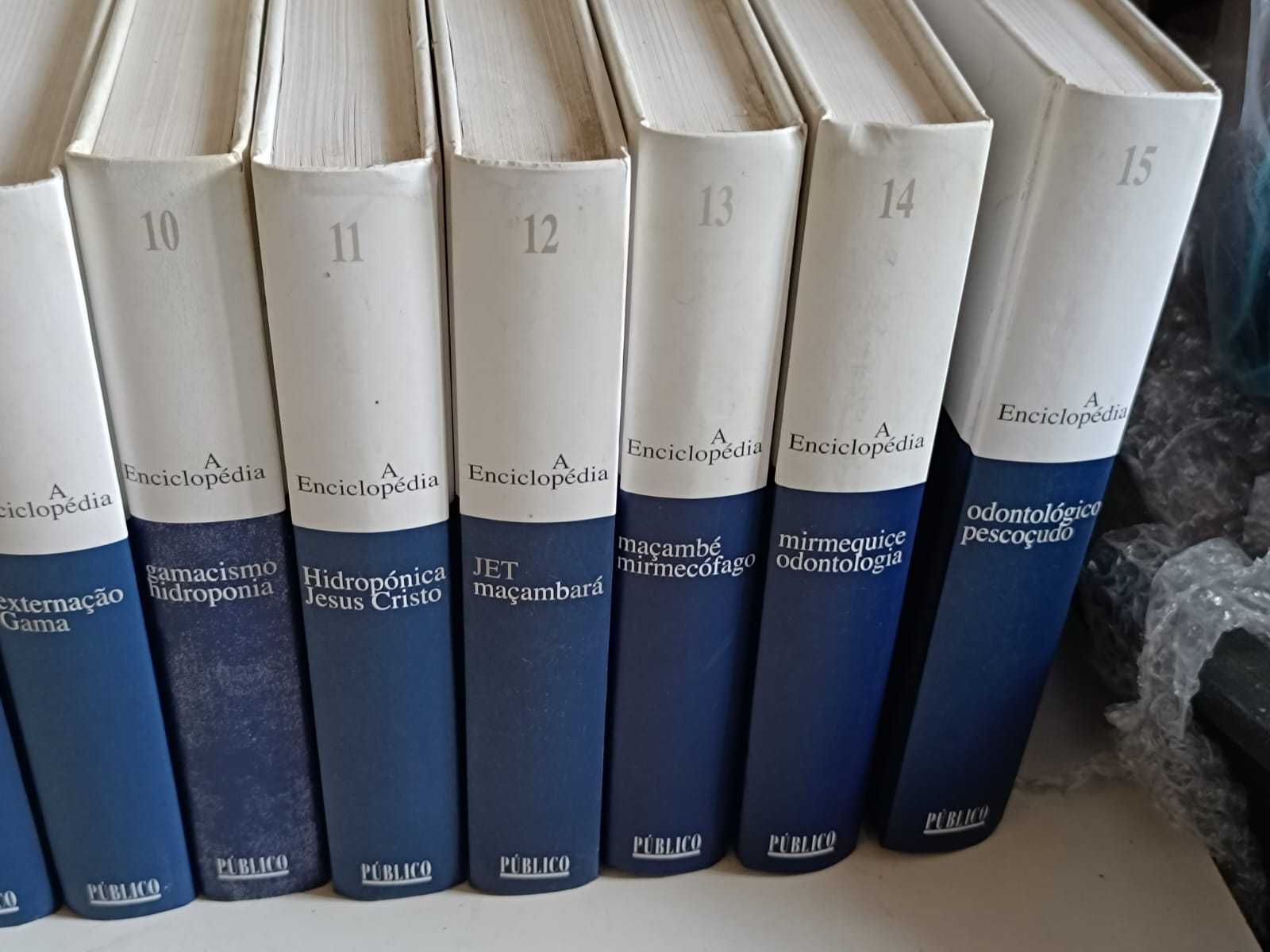 A Enciclopédia 30 Volumes– Ótimo Estado!*