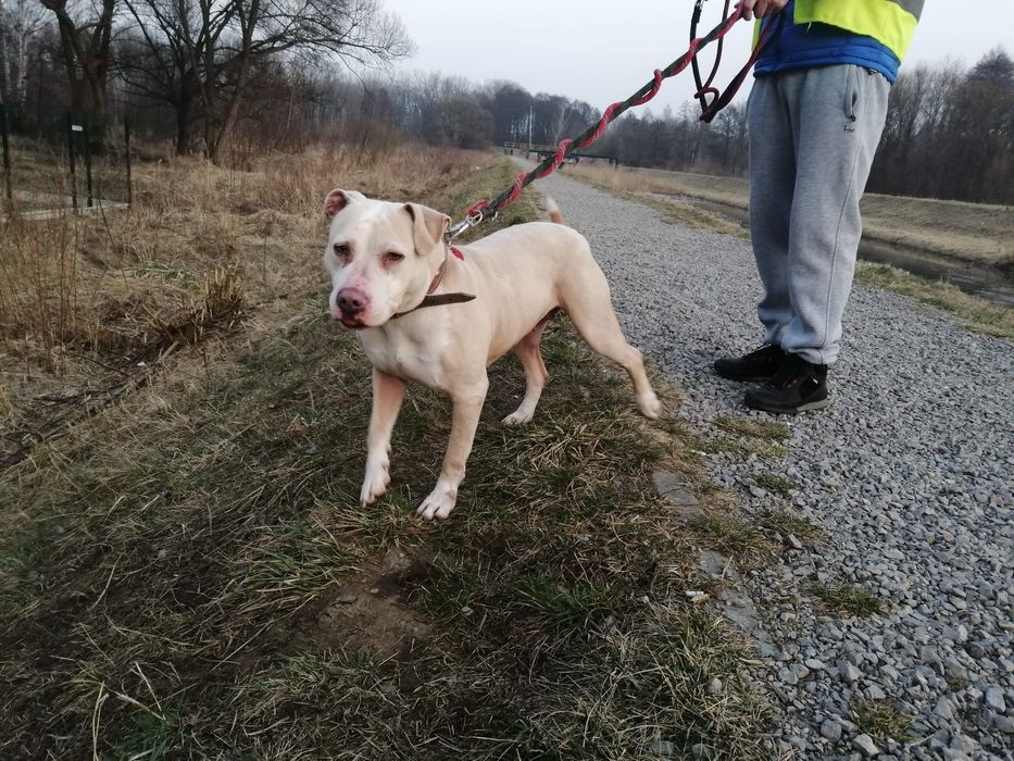 Hera czeka na nowy dom...