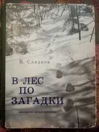 Сладков В лес по загадки