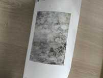 Fototapeta liście miłorzębu, fizelinowa