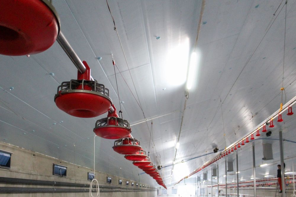 Styrodur XPS AGRO Termo Izolacja Ocieplenie Dachu Stropu Sufitu