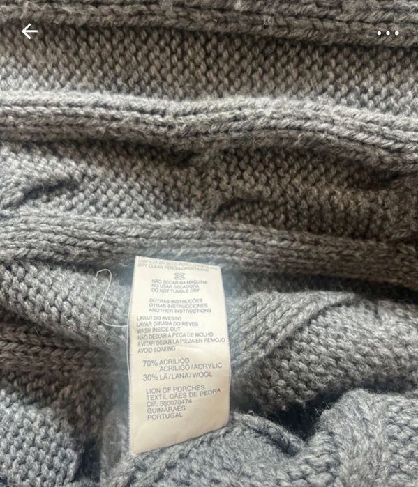 Poncho Lion of Porches