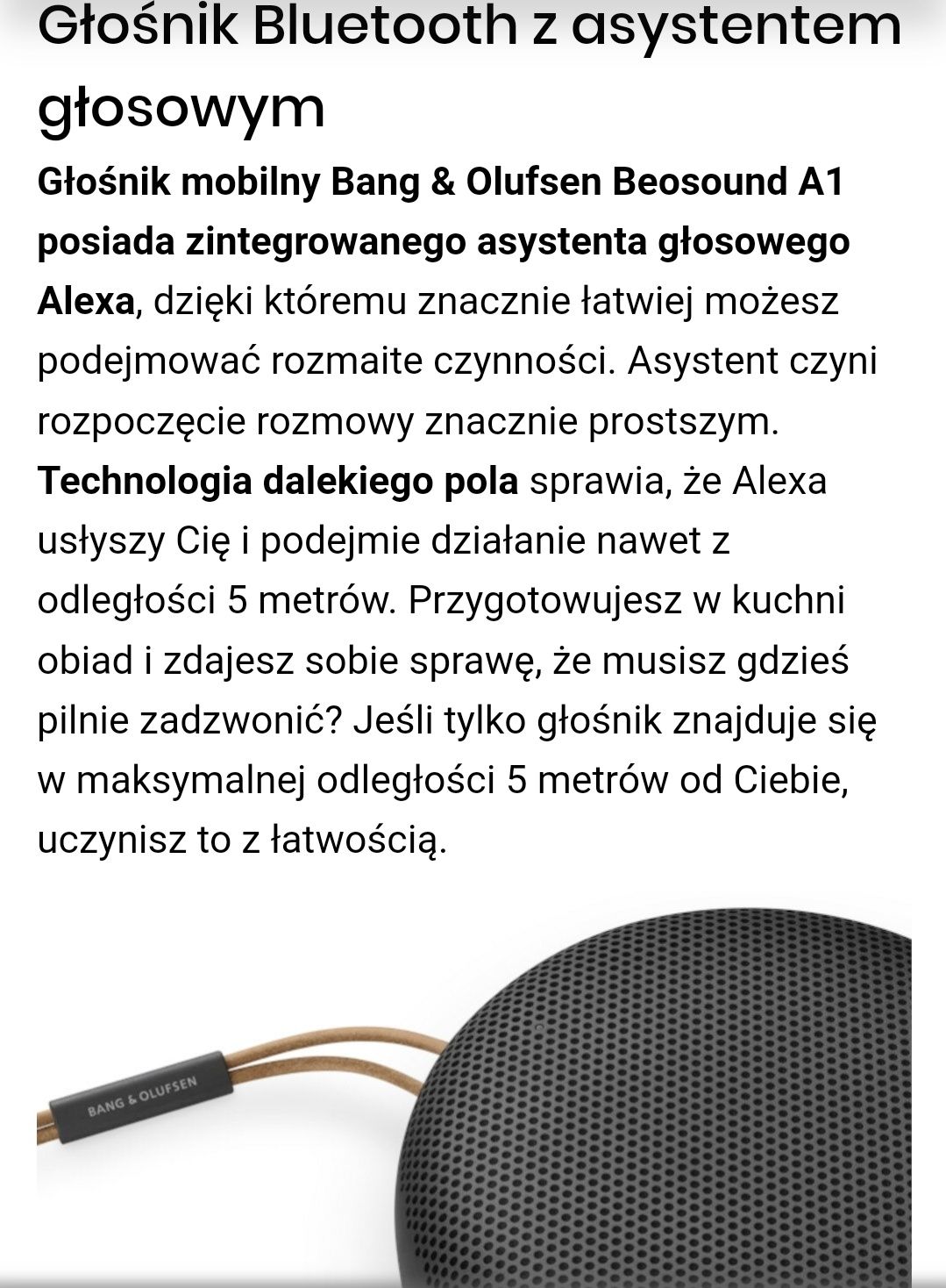 Nowy zafoliowany oryginalny głośnik BEOSOUND A1 2 generacji