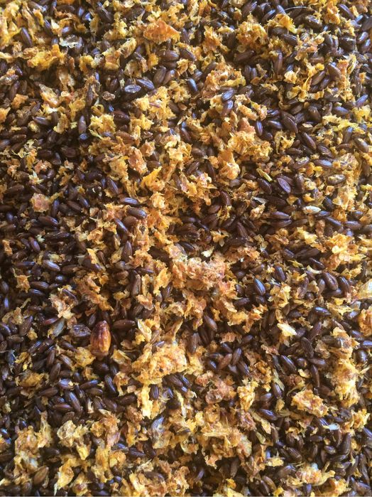 Жмих обліпихи, обліпиха, жмих