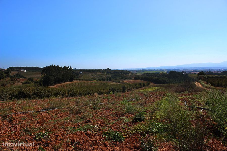 Terreno urbanizável, vista magnífica para Sul entre Óbidos e Bombarral