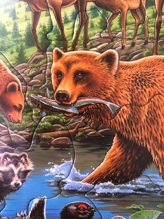 Нові Пазли Larsen