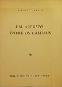 Um Arbusto Entre os Calhaus, Fernando Grade