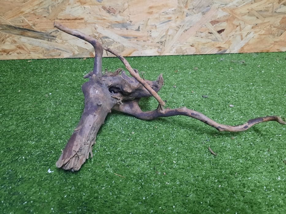 Korzeń do akwarium Red Moore Wood nr 889 o wymiarach 30/15/16