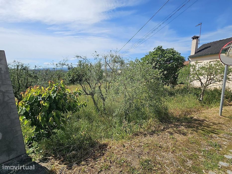 Terreno  para venda