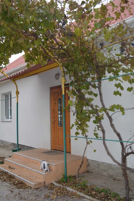 Продам капітальний будинок  у центрі села Молодіжне