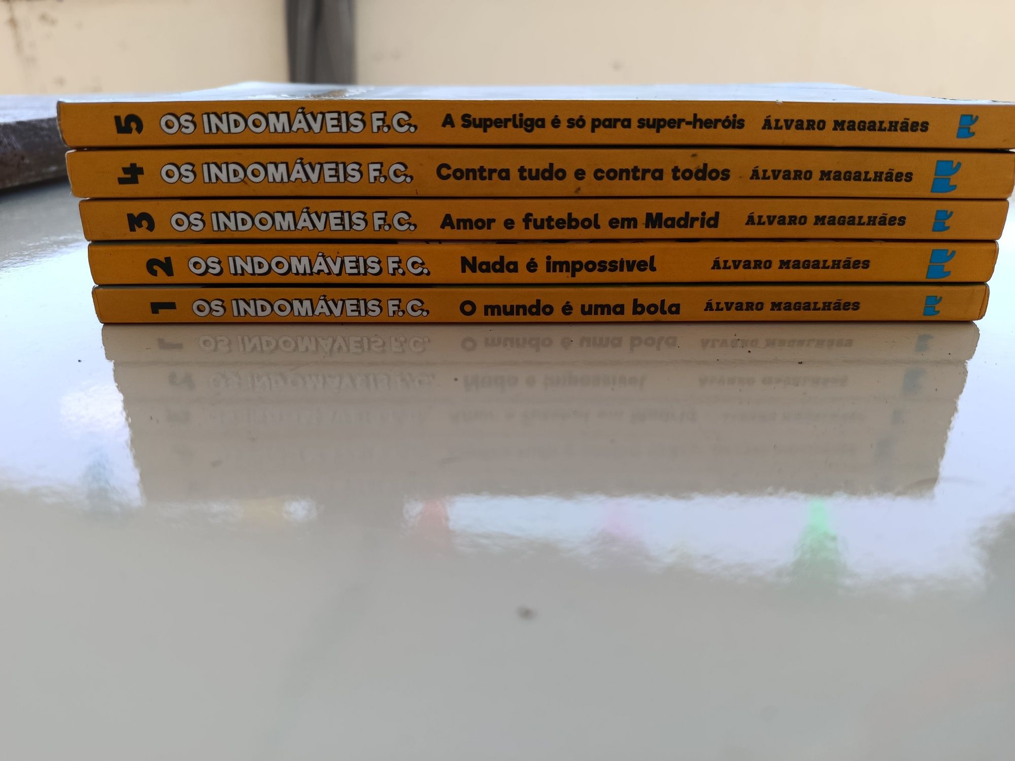 Livros juvenil - Os Indomáveis