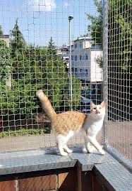 Montaż - Siatka na balkon przeciw ptakom, dla kota