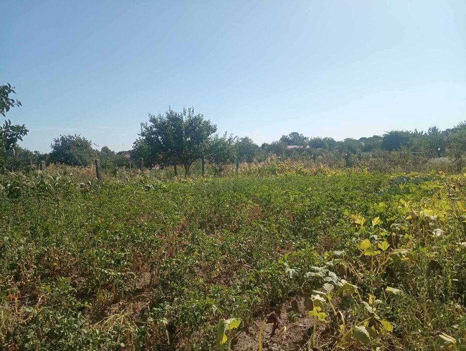 (3) Продам земельну ділянку на Вінницьких Хуторах 0756