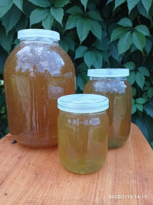 Продається Мед 100% натуральний без домішок