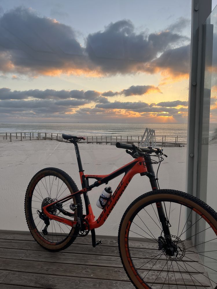 cannondale scalpel lefty
