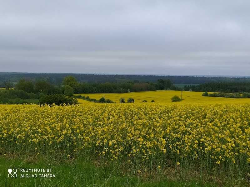 Działka z widokiem na morze, 3063m2, do jeziora 300m, do morza 8km