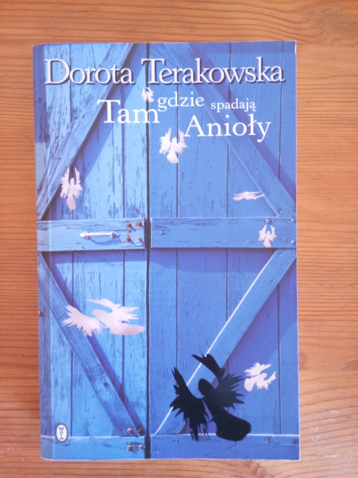 Tam gdzie spadają anioły. Dorota Terakowska