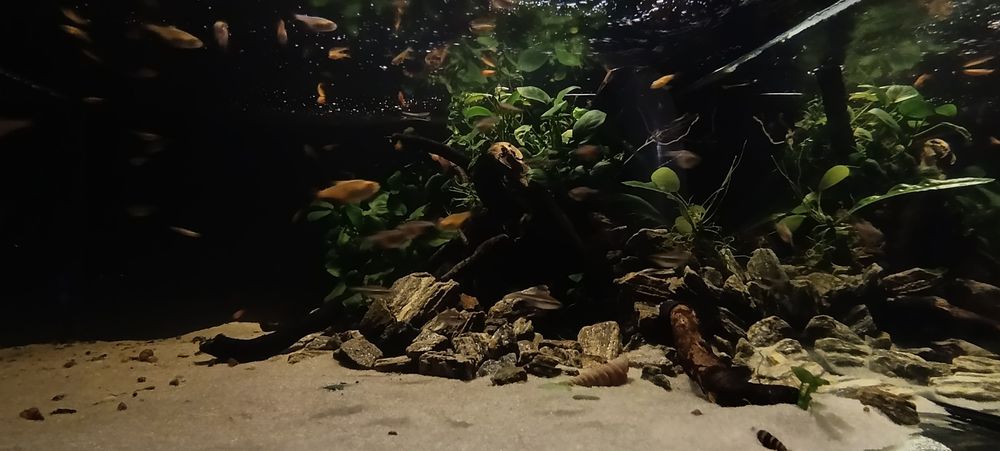 Аквариум 85 литров со всем