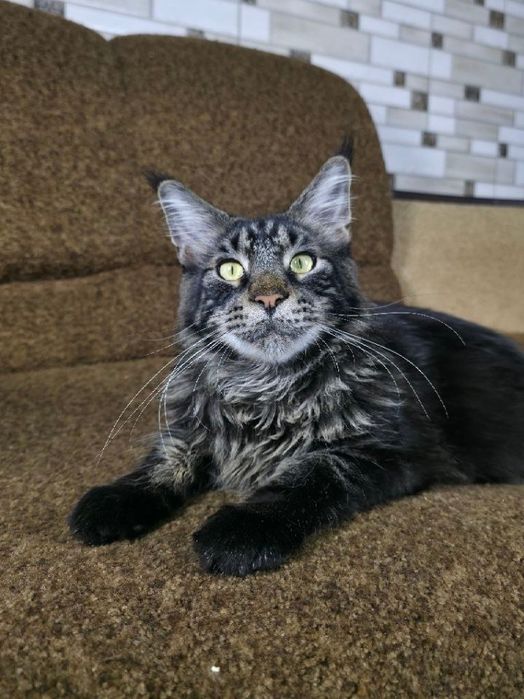 Шикарный крупный мальчик