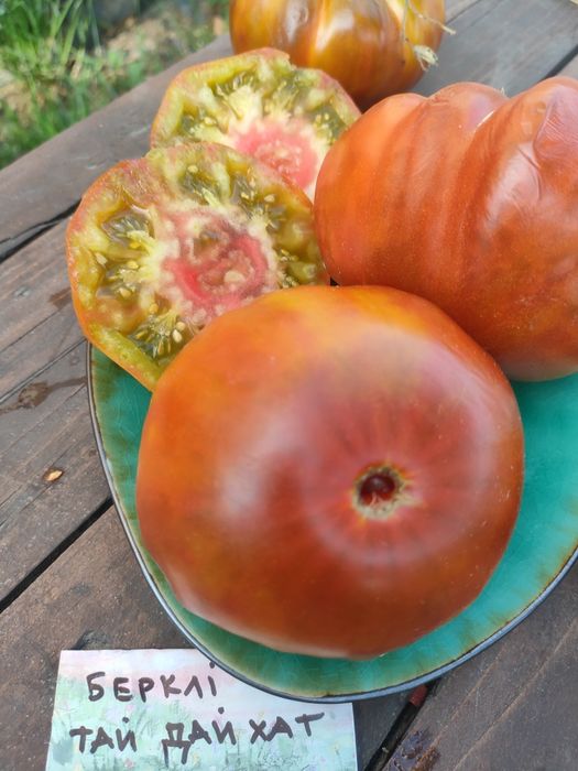 Набір колекційного насіння томатів " Калейдоскоп"