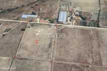 Terreno com 10.070 m2 em Évora (Courelas da Toura)