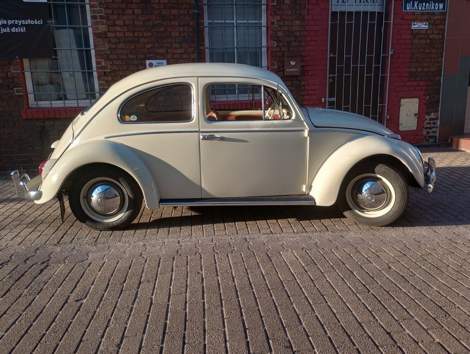 VW Garbus na wynajem. Ślub, studniówka,  sesja