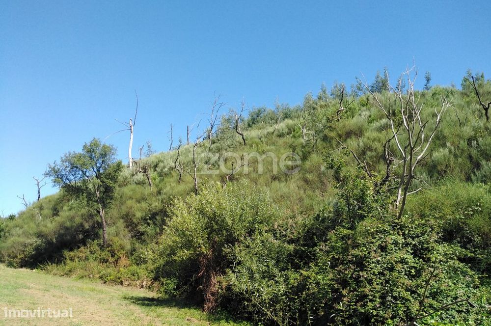 Terreno 20.0000m2 em Serrado - Maceirinha - Sta Eulália