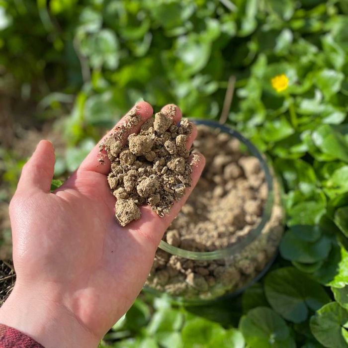 Соняшниковий шрот, Фасування 20кг або 30кг, відправка по всій Україні