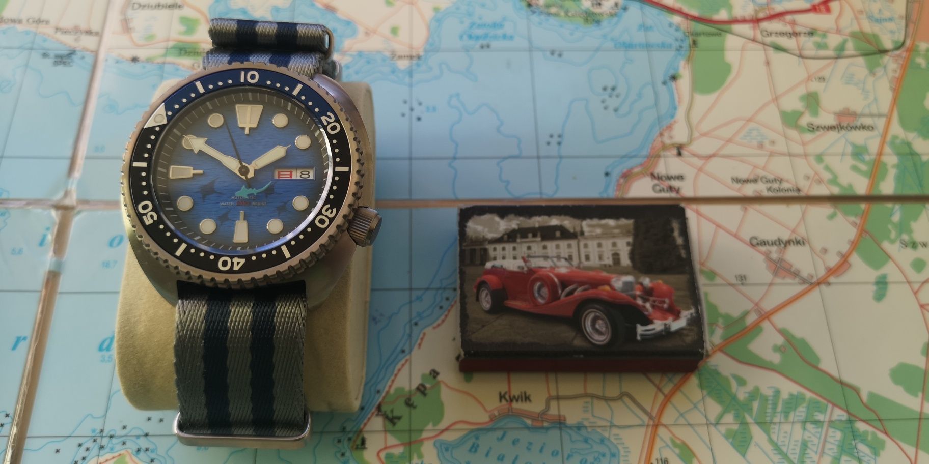 Zegarek custom King Turtle/Manta Ray Save The Ocean/Titanium/Automatic