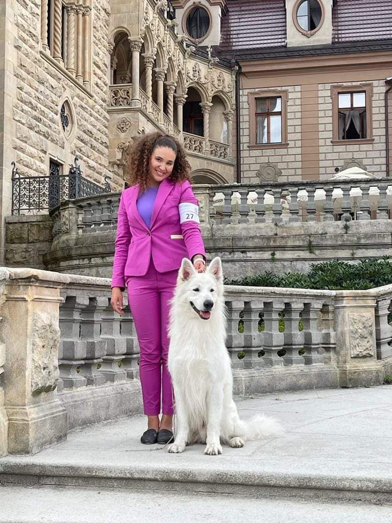 Biały Owczarek Szwajcarki - Białe Wilki Z Wilkowa FCI