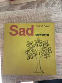 Sad przy domu Pieniążek 1977