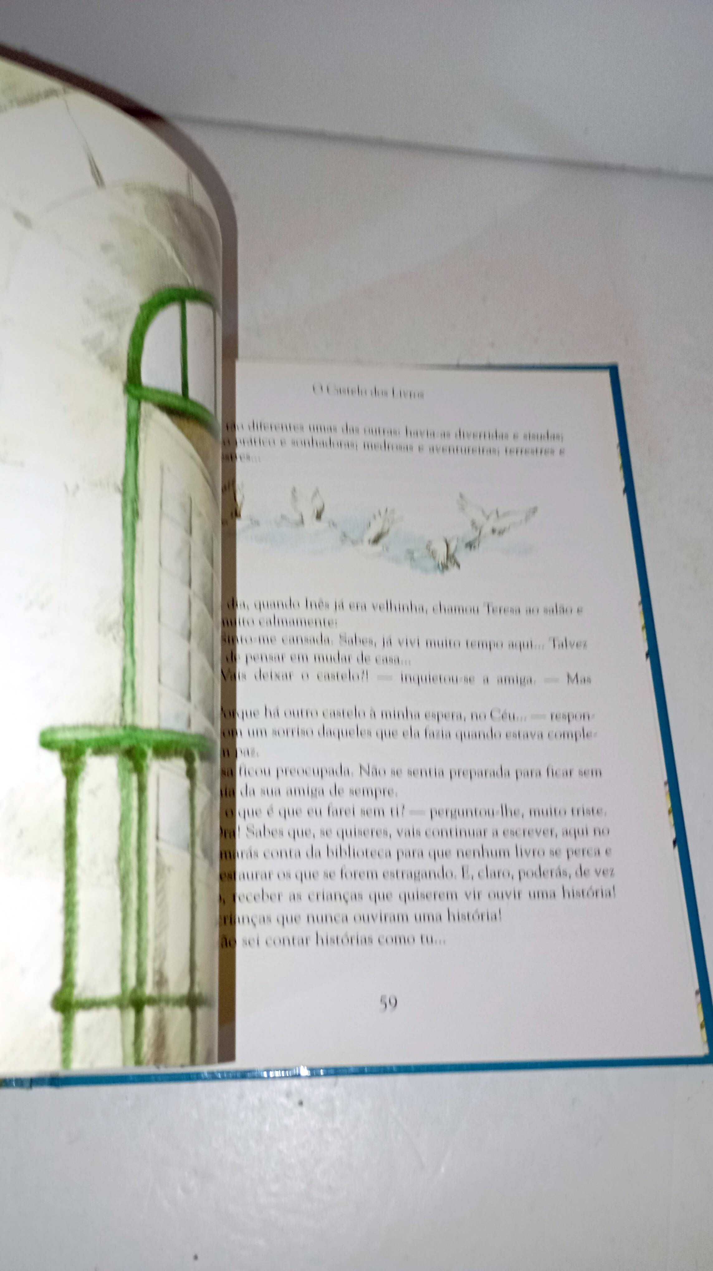 O Castelo dos Livros