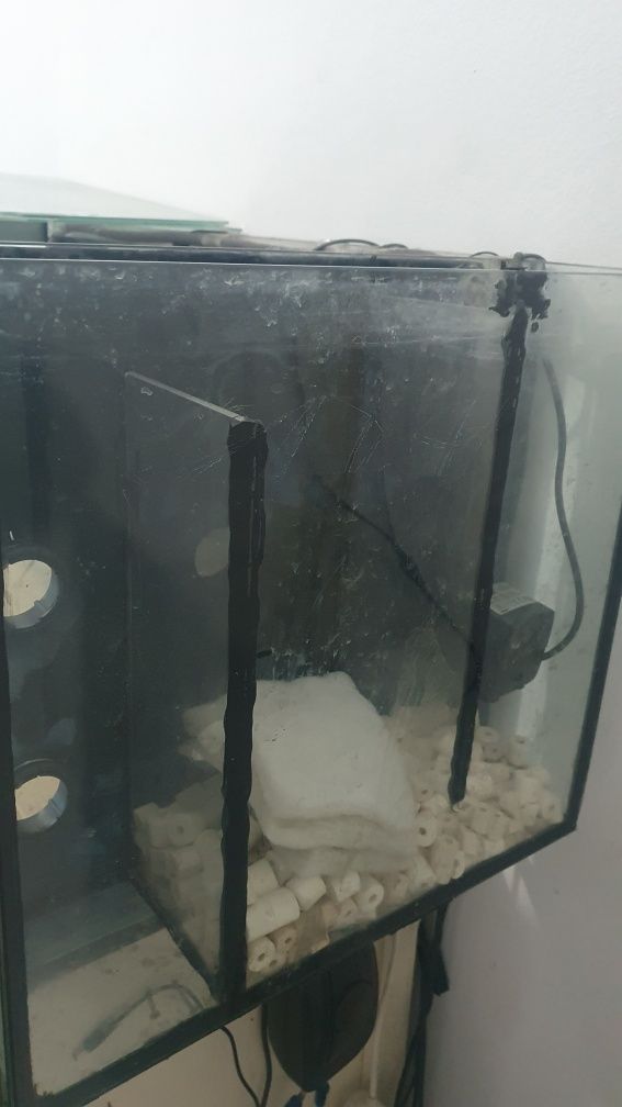 Aquário 250L com sump já incorporado