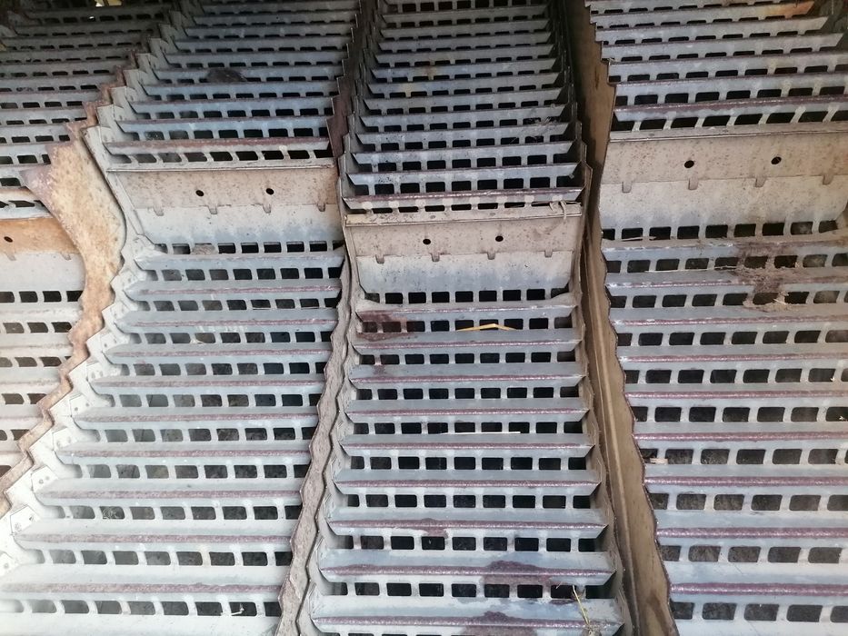 Komplet wytrzasaczy z wałami Claas Mercator 50,60,70,75, Protector,